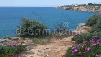 葡萄牙卡斯凯州<strong>金秋</strong>悬崖边的紫色花朵